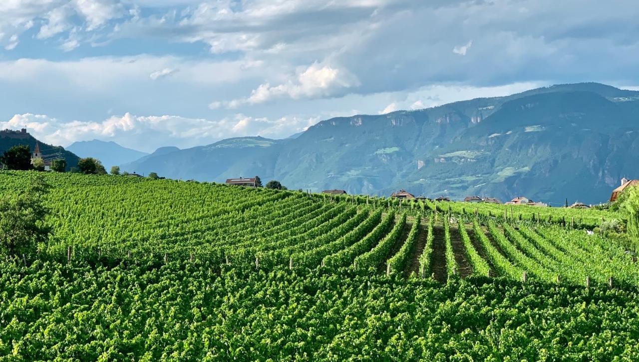 Weingut Gasshof Apartment Appiano Sulla Strada Del Vino Exterior photo